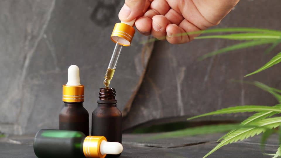 שמן CBD או פטריות מרפא